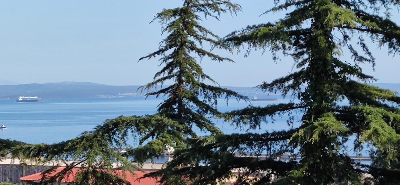 Villa Sunci Rijeka Exteriör bild