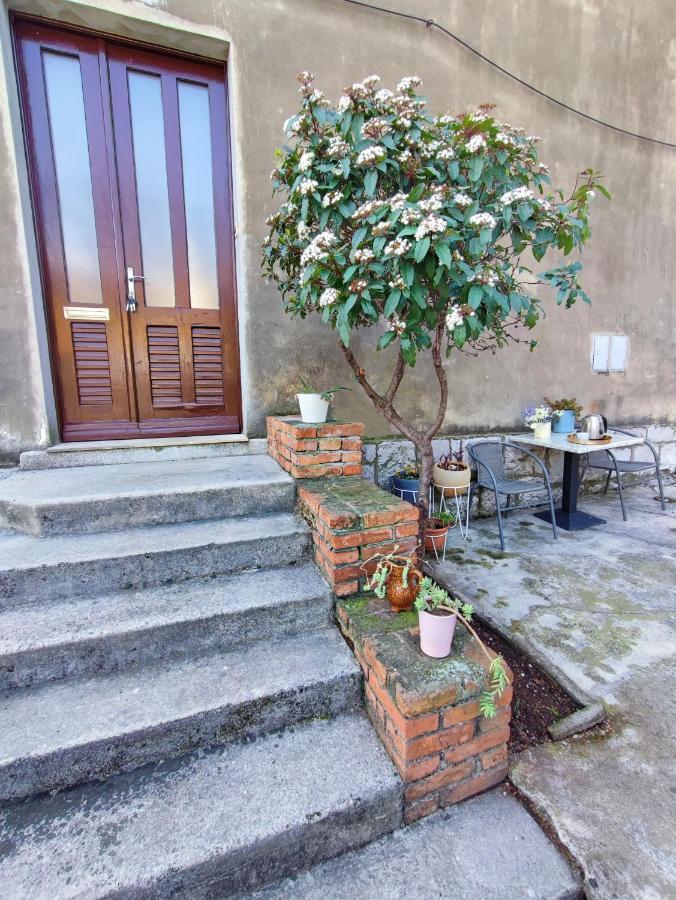 Villa Sunci Rijeka Exteriör bild